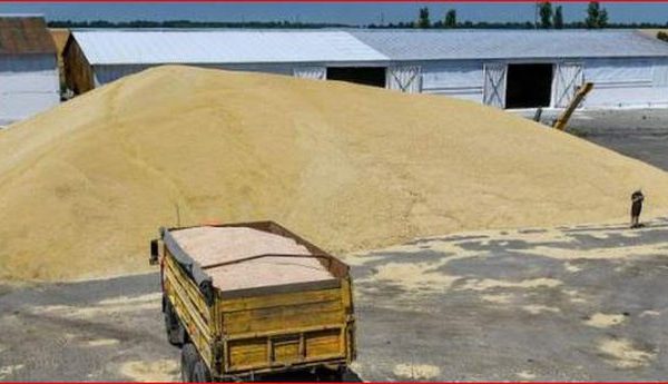 Ukraina krijon rrugë eksporti të grurit për ta shmangur krizën globale të ushqimit